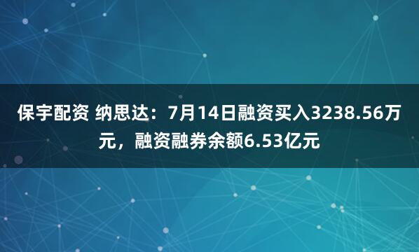 保宇配资 纳思达：7月14日融资买入3238.56万元，融资融券余额6.53亿元